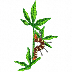 Butterfly Embroidery Design 1 Butterfly Embroidery Design 1